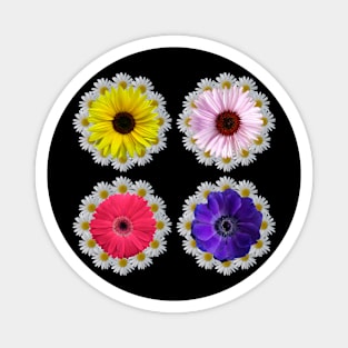 floral gerbera sunflowers blooming daisy flower blossoms Magnet